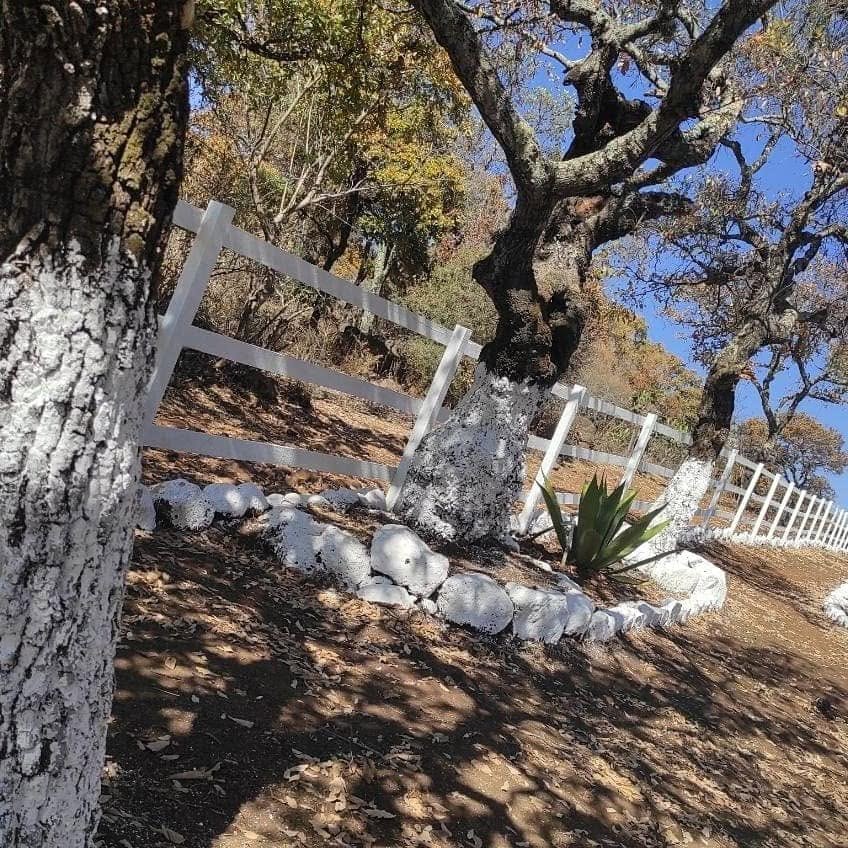 Árboles y senderos de Cielo Nuevo Club Campestre